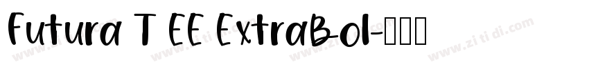 Futura T EE ExtraBol字体转换